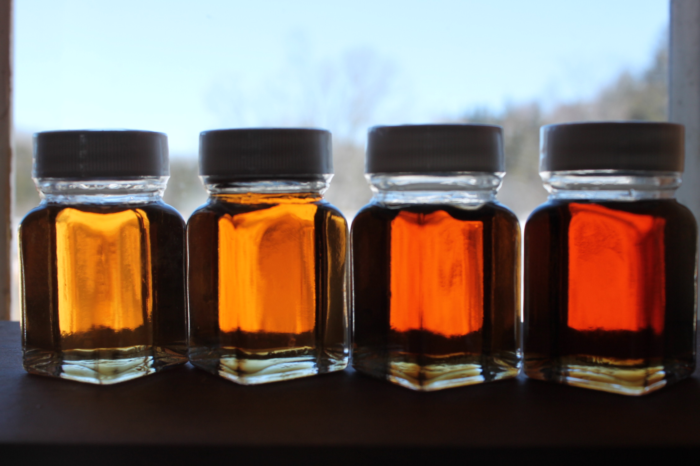 sample jars of maple syrup