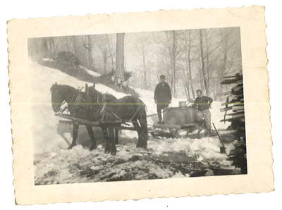 Horses pulling wagon and sap