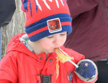 Maple Sugar on Snow