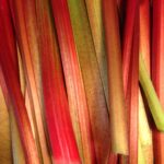 rhubarb stalks