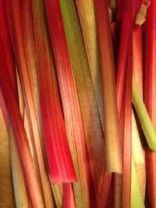 rhubarb stalks