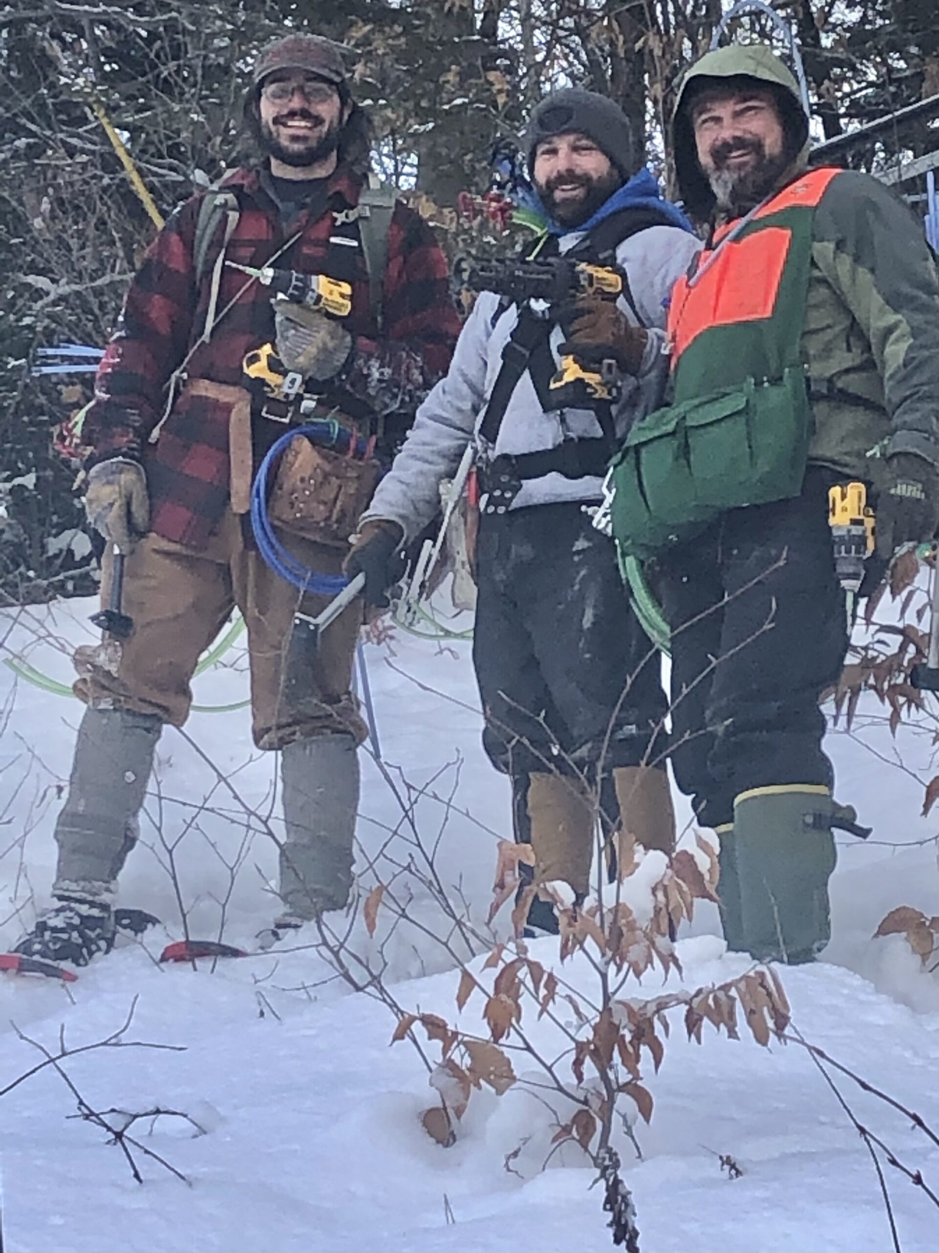 tapping trees in the woods