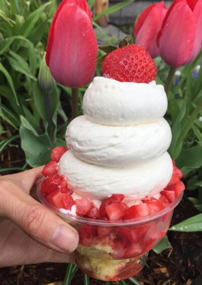 Strawberry Shortcake Maple Sundae
