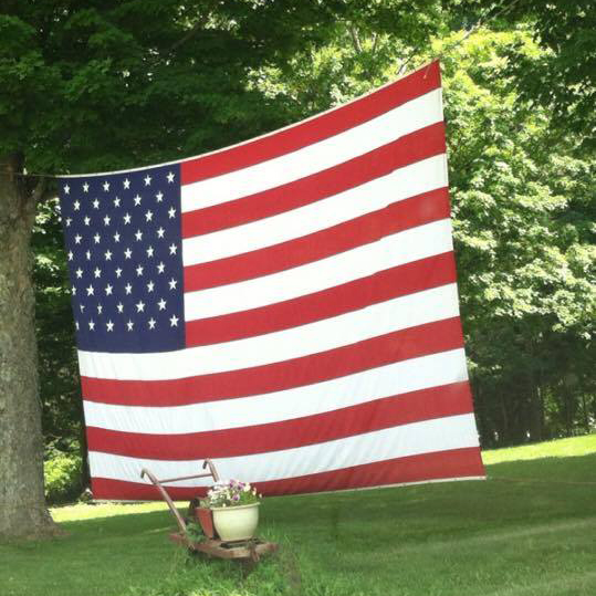 U.S. Flag hanging in yard