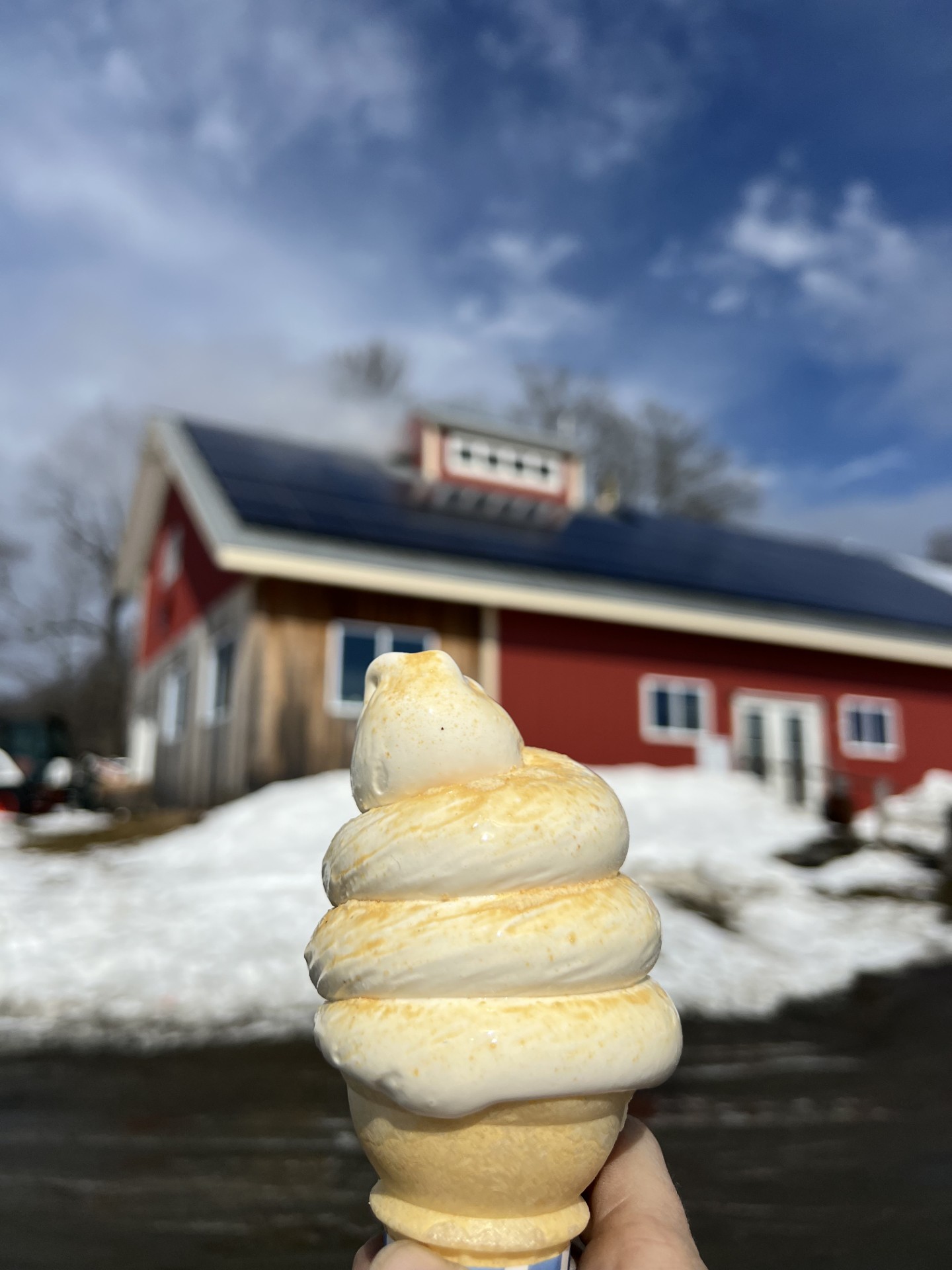 A hand holds a maple soft serve ice cream cone with maple sugar in front of a red barn-style sugarhouse with solar panels, surrounded by snow.