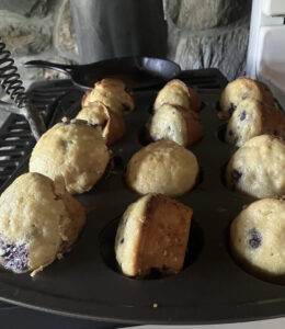 Blueberry Muffins in a muffin tin