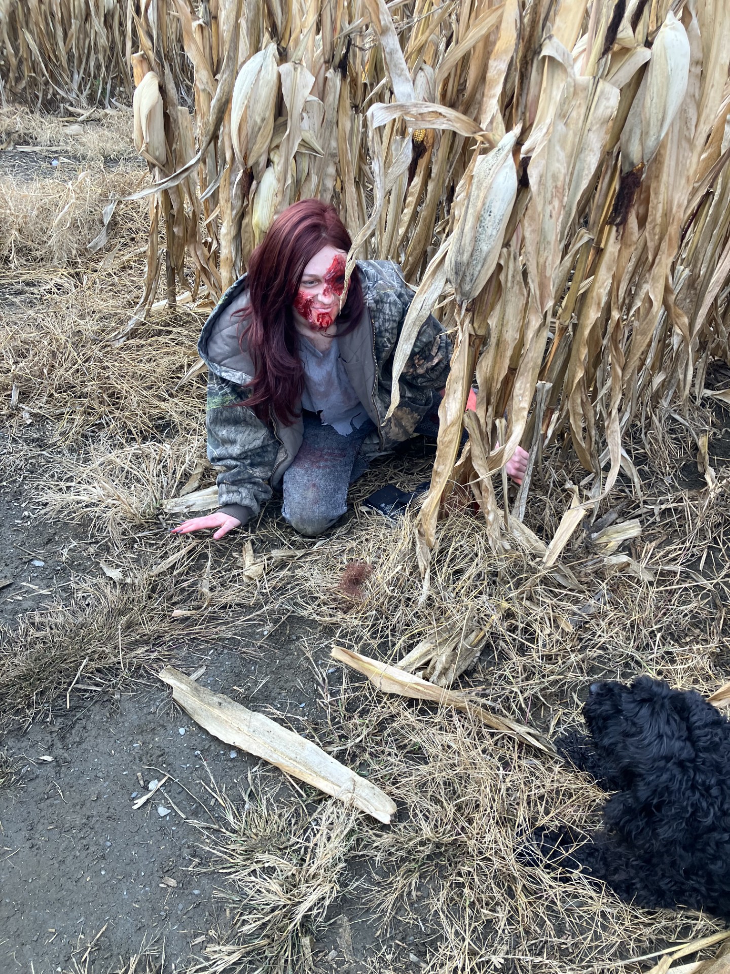 Haunted corn maze in Central Vermont at Silloway Maple